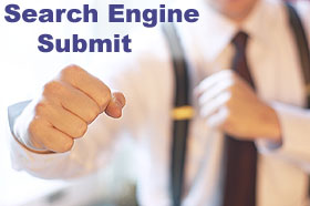 Search Engine Submit Service