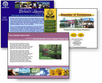 Web page examples